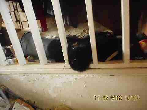 12100 Burt (50)_m.jpg